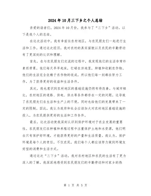 2024年10月三下乡之个人总结(2篇)