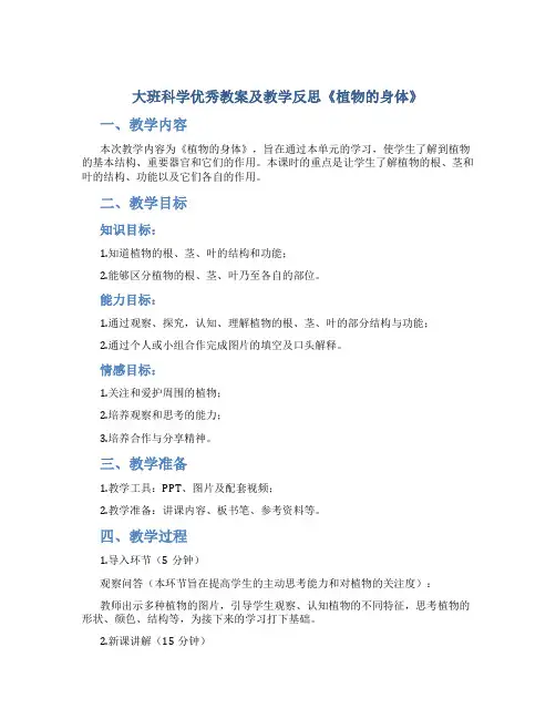 大班科学优秀教案及教学反思《植物的身体》