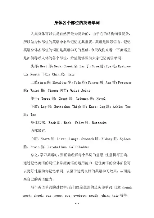 身体各个部位的英语单词
