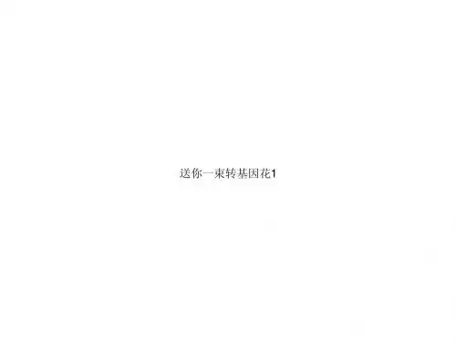 送你一束转基因花