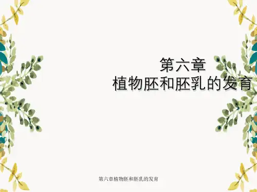 第六章植物胚和胚乳的发育