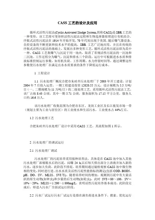 CASS工艺的设计及应用