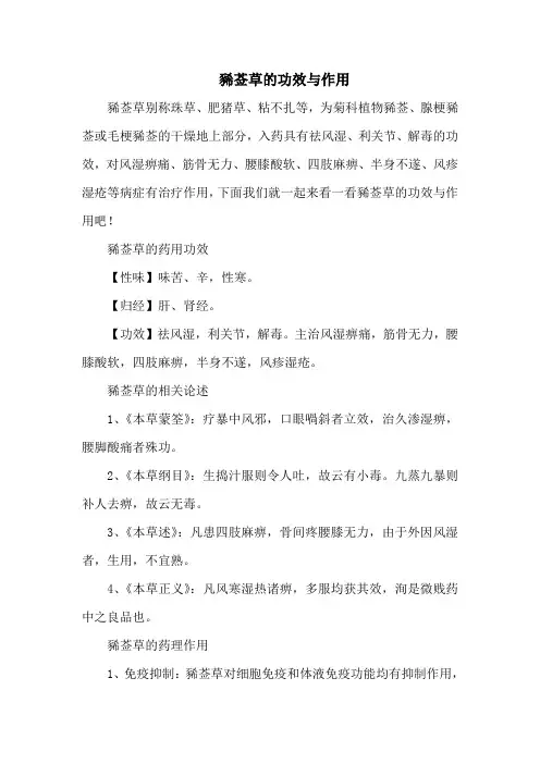 豨莶草的功效与作用