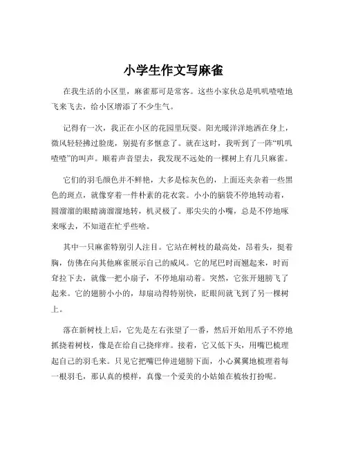小学生作文写麻雀