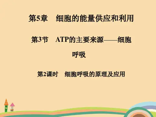高一生物细胞呼吸的原理及应用PPT优秀课件