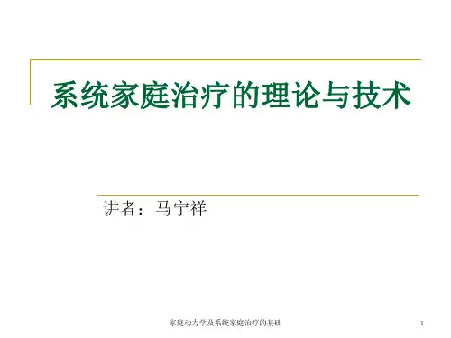 家庭动力学及系统家庭治疗的基础 ppt课件