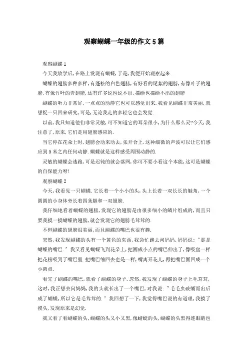 观察蝴蝶一年级的作文5篇