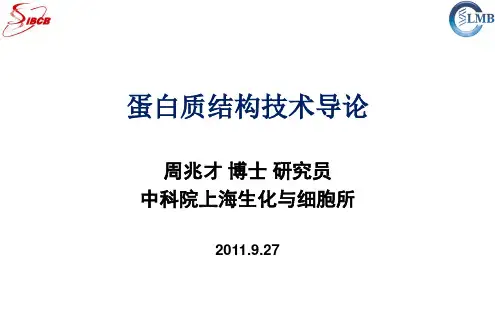 结构生物学