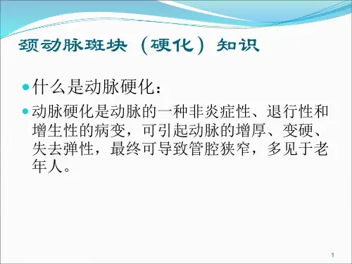 颈动脉斑块科普知识PPT课件