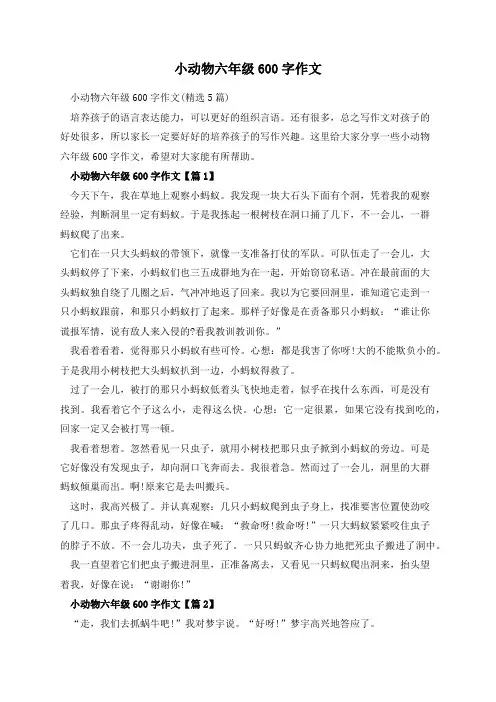 小动物六年级600字作文