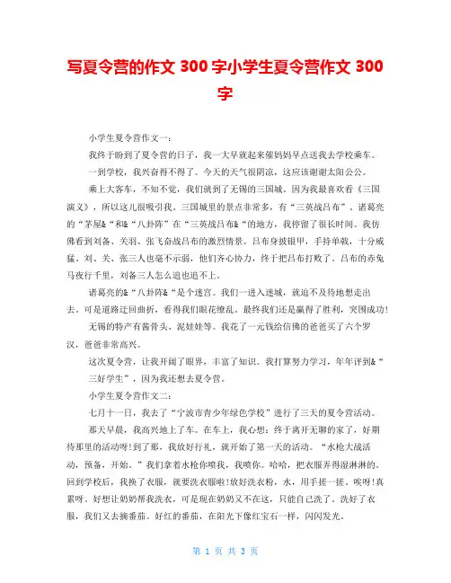 写夏令营的作文300字小学生夏令营作文300字