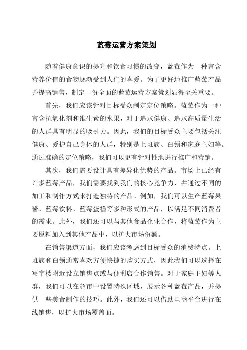 蓝莓运营方案策划