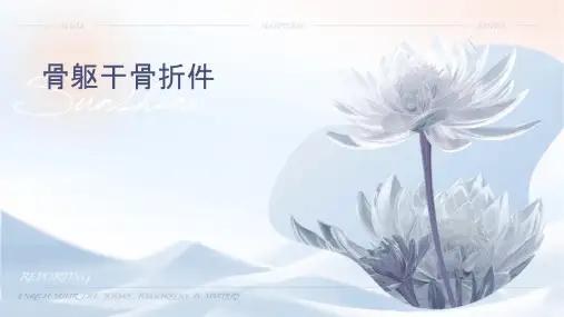 骨伤躯干骨折课件