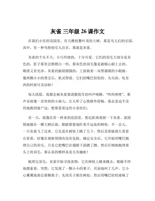 灰雀 三年级 26课作文