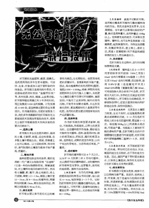 无公害折耳根栽培技术