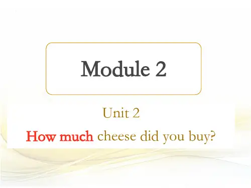 新外研版五年级英语上册M2U2 How much cheese did you buy？.ppt