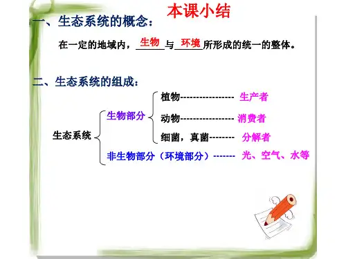人教版七上生物第二章第二节 生物和环境组成生态系统第二课时  食物链食物网课件(19张PPT)