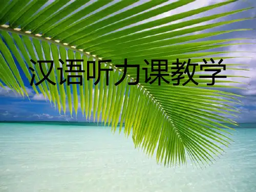 对外汉语听力教学讲稿精品PPT课件