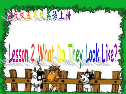 冀教版英语Lesson 2 What Do They Look Like(课件1).ppt