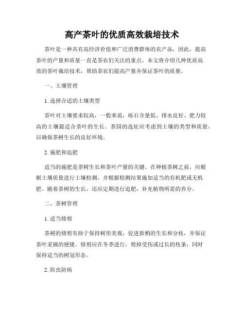 高产茶叶的优质高效栽培技术