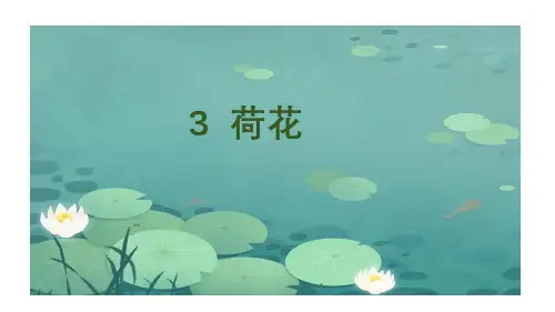 部编版三年级语文下册3《荷花》课件(共31张PPT)