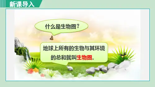 人教版七年级生物上册第一单元 第二章 了解生物圈 课件
