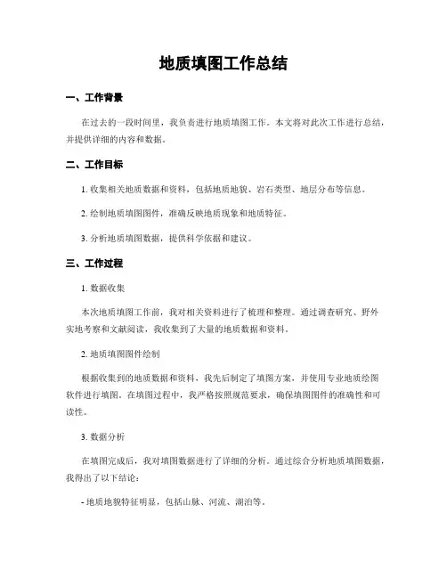 地质填图工作总结