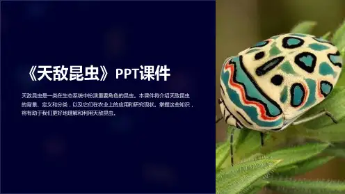 《天敌昆虫》课件