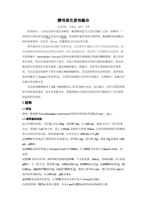 酵母原生质体融合