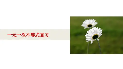 浙教版八年级上册第三章一元一次不等式复习课件