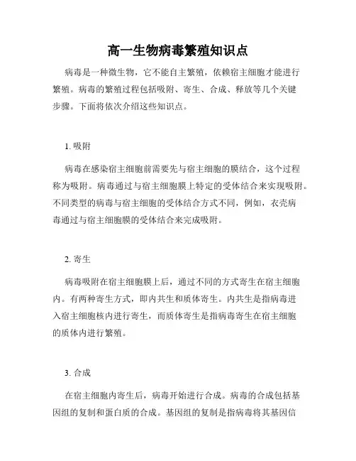 高一生物病毒繁殖知识点