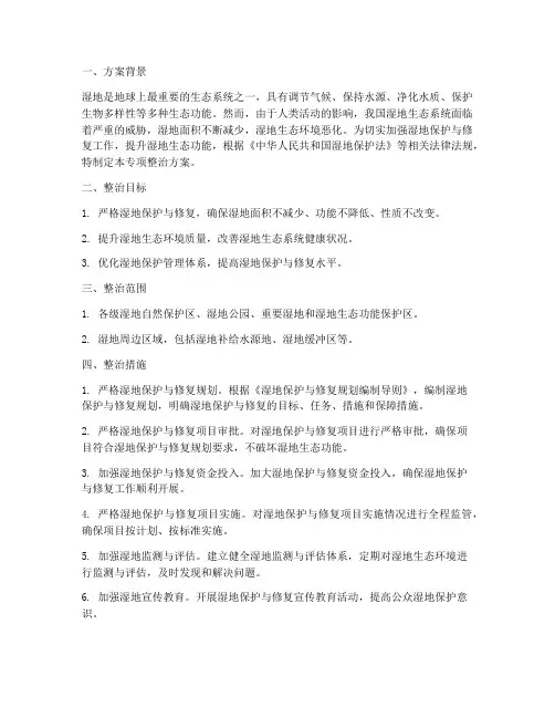湿地修复专项整治方案