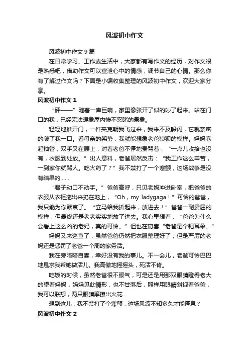 风波初中作文