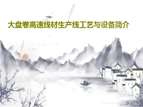 大盘卷高速线材生产线工艺与设备简介34页PPT