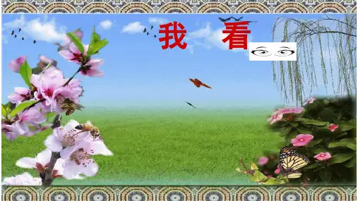 人教版语文九年级上册部编版5《我看》公开课课件