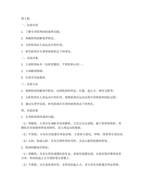 全身肌肉的实验报告(3篇)