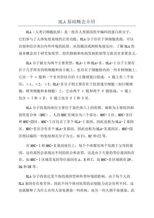 HLA基础概念介绍