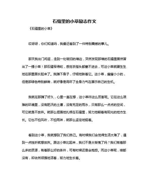 石缝里的小草励志作文