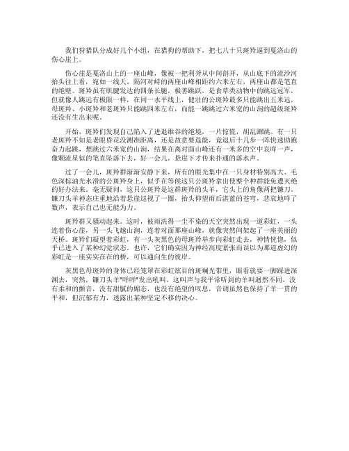 斑羚飞渡原文