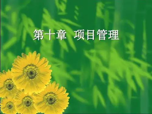 第十章(旅游项目策划课件)
