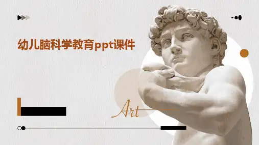 幼儿脑科学教育PPT课件