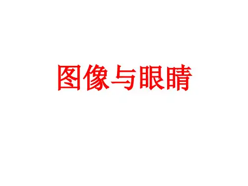 湘美版美术 鉴赏 1.2图象和眼睛 课件   (共27张PPT)