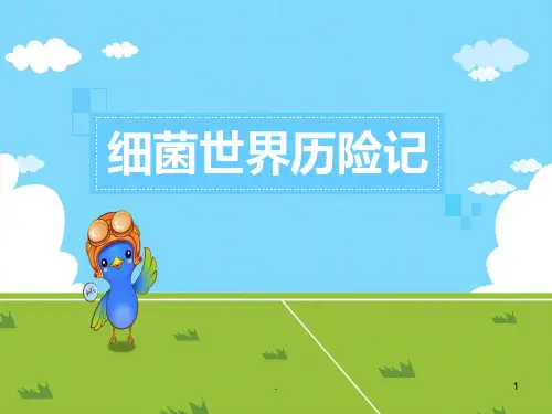 五上课外书屋细菌世界历险记PPT课件