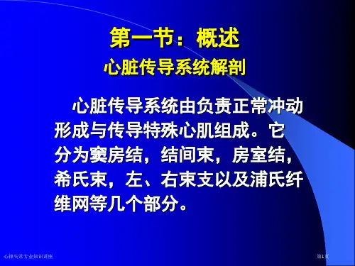心律失常专业知识讲座