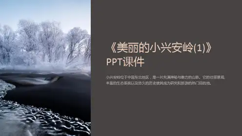 《美丽的小兴安岭(1)》课件