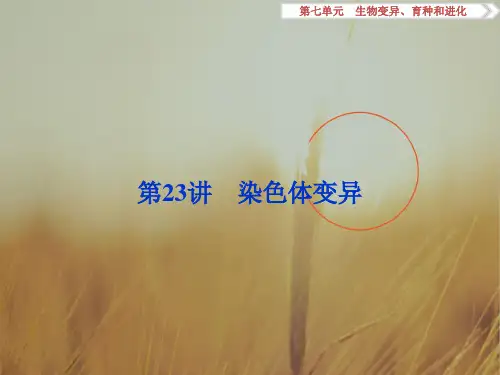 2018高考生物新课标一轮复习课件：第7单元 生物变异、育种和进化 第23讲