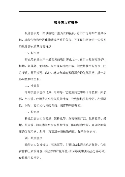 吸汁害虫有哪些