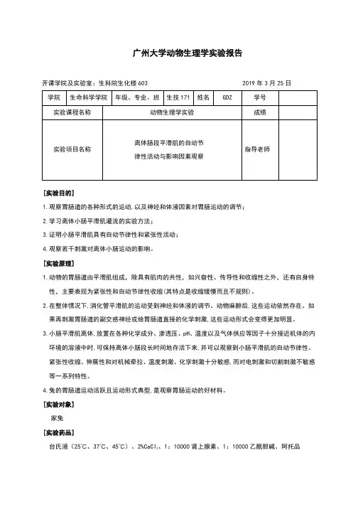 生理实验报告3(离体肠段)