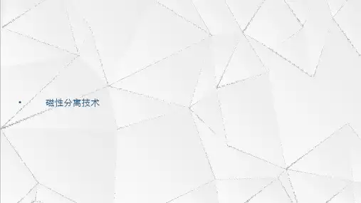 磁性分离技术一 ppt课件