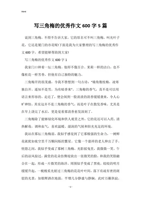 写三角梅的优秀作文600字5篇